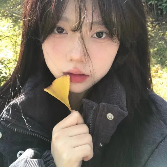 阴阳爱国语 海报