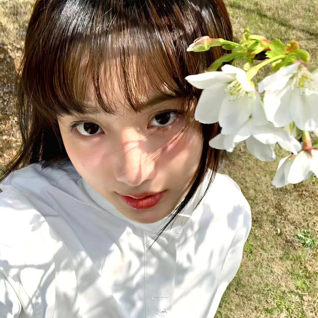 樱花盛开 海报